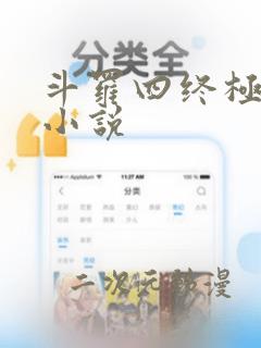 斗罗四终极斗罗小说