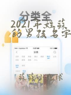 2021年姓苏的男孩名字