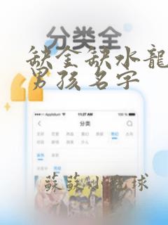 缺金缺水龙宝宝男孩名字