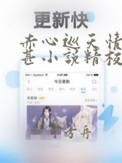 赤心巡天情何以甚小说精校版全集txt