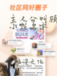 主人公叫顾寒的小说名字