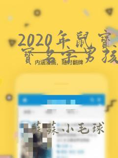 2020年鼠宝宝名字男孩