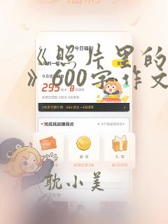 《照片里的故事》600字作文