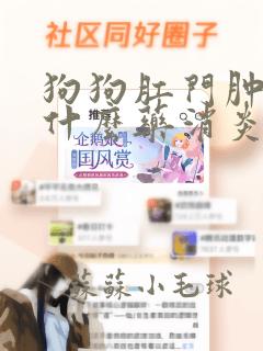 狗狗肛门肿了用什么药消炎