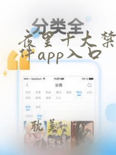 夜里十大禁用软件app入口