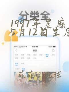 1997年农历5月12日生辰八字