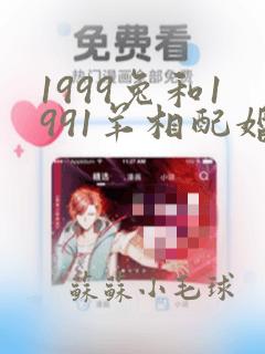 1999兔和1991羊相配婚姻如何