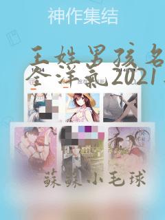 王姓男孩名字大全洋气2021年