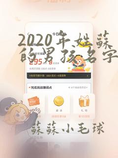 2020年姓苏的男孩名字