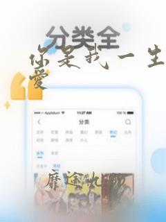 你是我一生的最爱