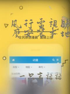 风行电视助手怎么安装本地app