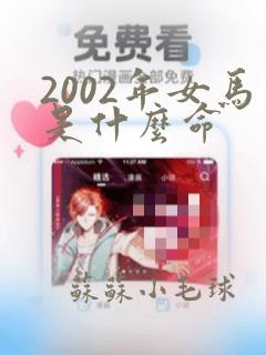 2002年女马是什么命