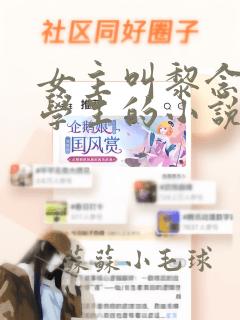 女主叫黎念是个学生的小说