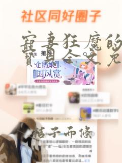 宠妻狂魔的黏人宝贝全文免费阅读