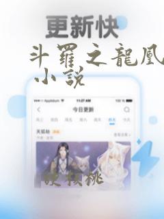 斗罗之龙凰传说 小说