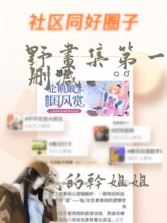 野画集第一季无删减