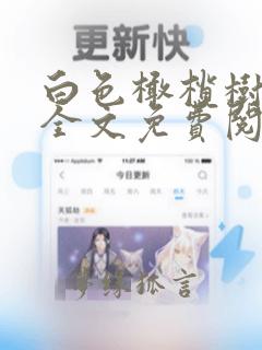 白色橄榄树玖月全文免费阅读完整版