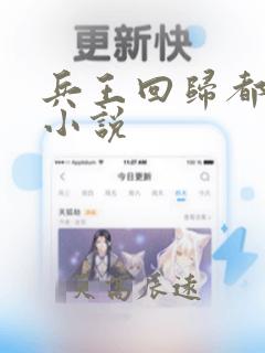 兵王回归都市的小说