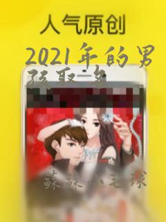 2021年的男孩取名