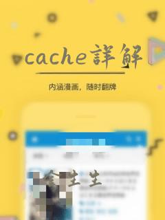 cache详解