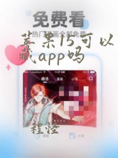 苹果15可以隐藏app吗