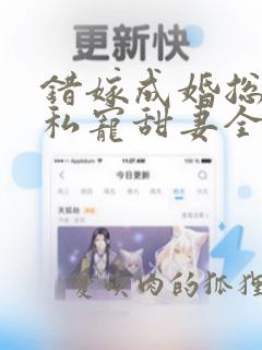 错嫁成婚总裁的私宠甜妻全文