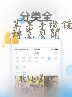 苹果手机镜面翻转怎么关