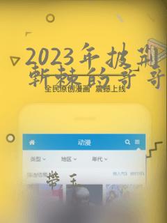 2023年披荆斩棘的哥哥