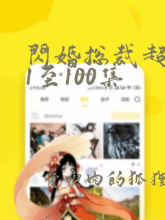 闪婚总裁超宠我1至100集