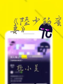 《陆少的蜜宠甜妻》