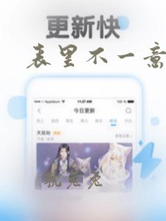 表里不一意思