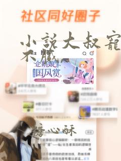 小说大叔宠妻甜不腻,