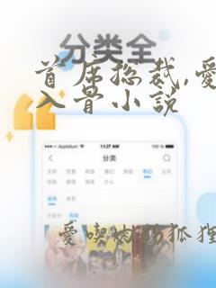 首席总裁,爱你入骨小说