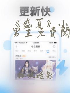 《盛夏》小说双男主免费阅读