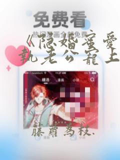 《隐婚蜜爱:偏执老公宠上瘾》