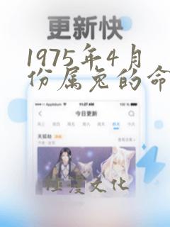 1975年4月份属兔的命运怎样