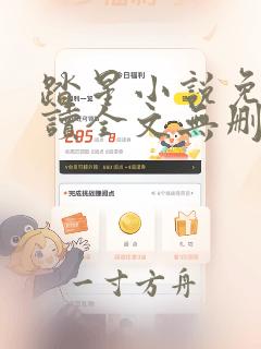 踏星小说免费阅读全文无删减