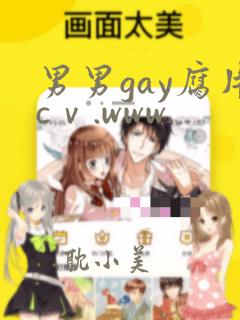 男男gay腐片cⅴ.www