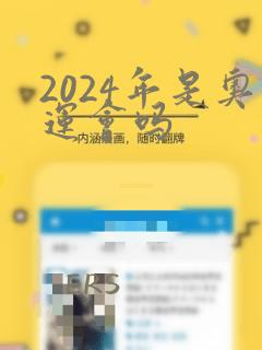 2024年是奥运会吗