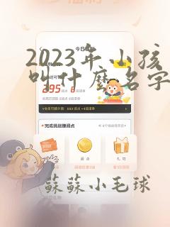 2023年小孩叫什么名字好来男孩子