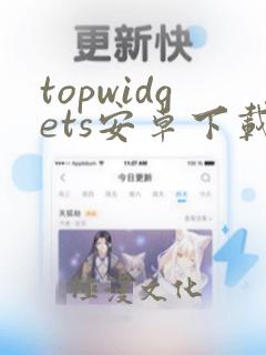 topwidgets安卓下载免费