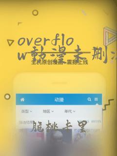 overflow动漫未删减版在线观看