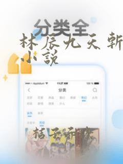 林辰九天斩神诀小说