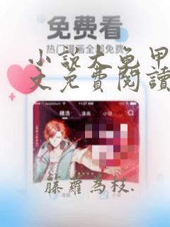 小说大龟甲师全文免费阅读完整版