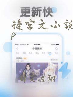 后宫文小说app