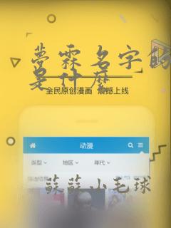 梦霖名字的含义是什么