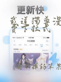 武道独尊漫画免费下拉式