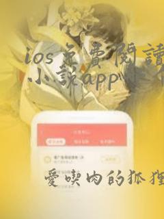 ios免费阅读小说app哪个好