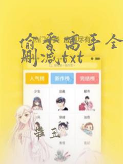 偷香高手全文无删减txt