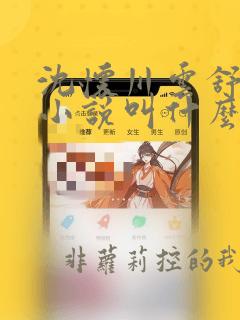 沈怀川云舒齐婉小说叫什么名字